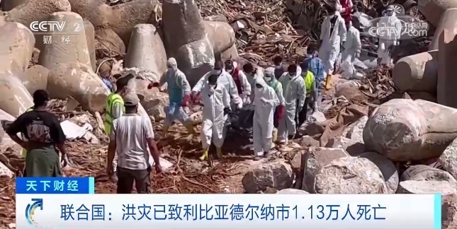 公博评级公司